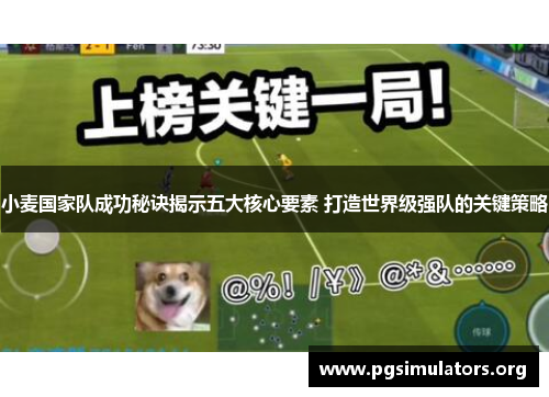 小麦国家队成功秘诀揭示五大核心要素 打造世界级强队的关键策略
