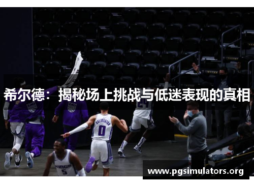 希尔德：揭秘场上挑战与低迷表现的真相