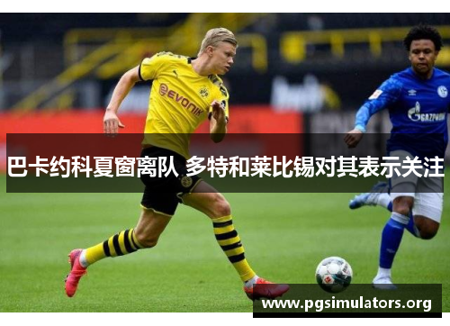 巴卡约科夏窗离队 多特和莱比锡对其表示关注