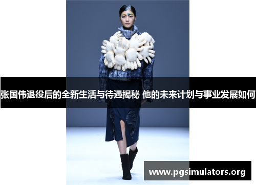 张国伟退役后的全新生活与待遇揭秘 他的未来计划与事业发展如何