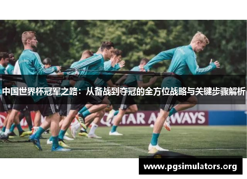 中国世界杯冠军之路：从备战到夺冠的全方位战略与关键步骤解析