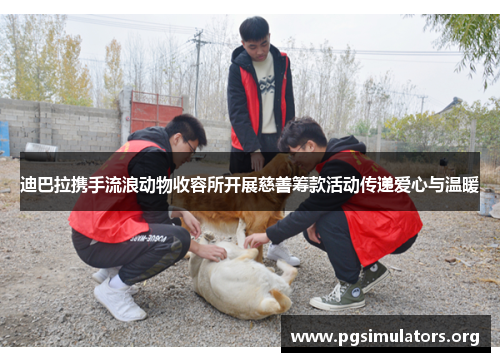 迪巴拉携手流浪动物收容所开展慈善筹款活动传递爱心与温暖