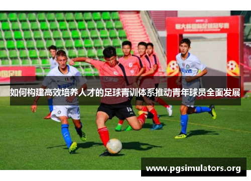 如何构建高效培养人才的足球青训体系推动青年球员全面发展