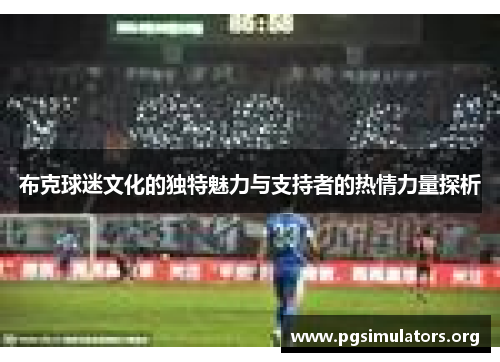 布克球迷文化的独特魅力与支持者的热情力量探析