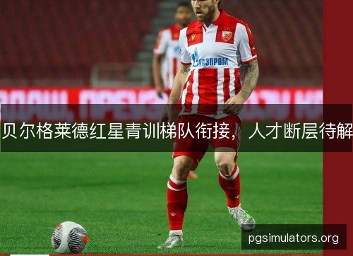 贝尔格莱德红星青训梯队衔接,人才断层待解 贝尔格莱德红星青训梯队衔接,人才断层待解
